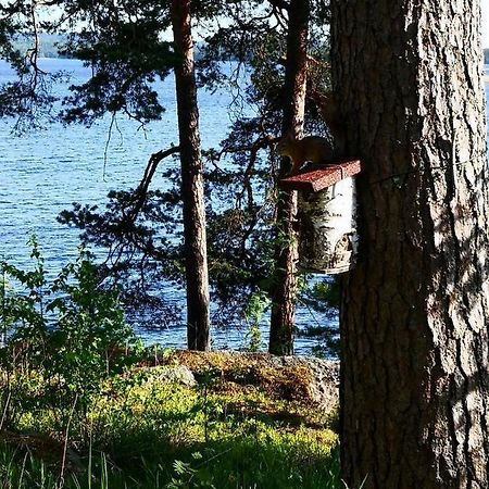 Club House Hotelli Kaipolan Ranta Jämsä Dış mekan fotoğraf