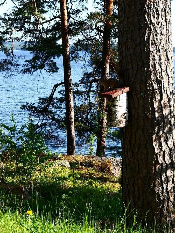 Club House Hotelli Kaipolan Ranta Jämsä Dış mekan fotoğraf